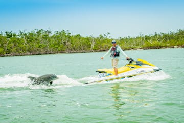 a man riding on the back of a jet ski in a body of water near a dolphin