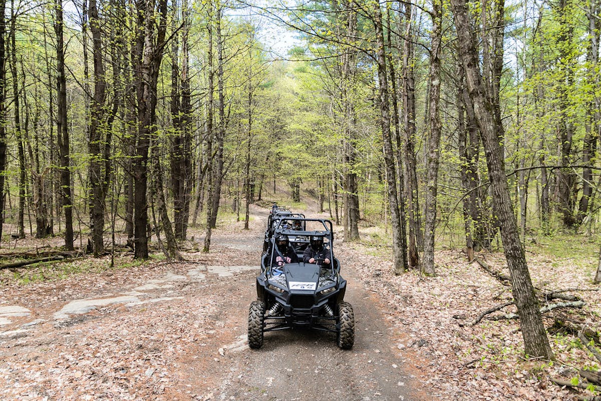 a rzr parked on a dirt path in a wooded area