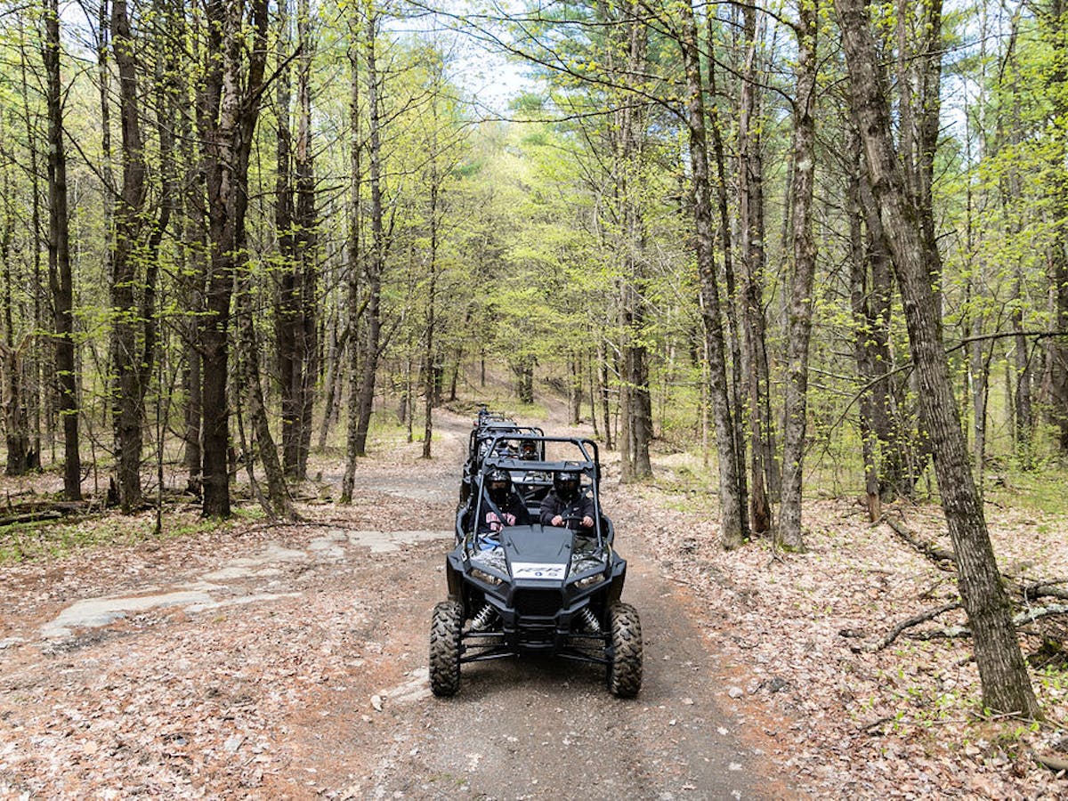 a rzr parked on a dirt path in a wooded area