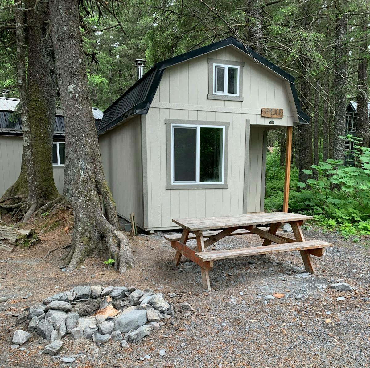 Tree Camping Cabin in Seward, Alaska