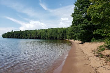 A beach stretches towards a green forest.