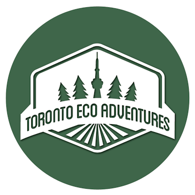 Adventures with ArtResin - Quiz Coconut Toronto