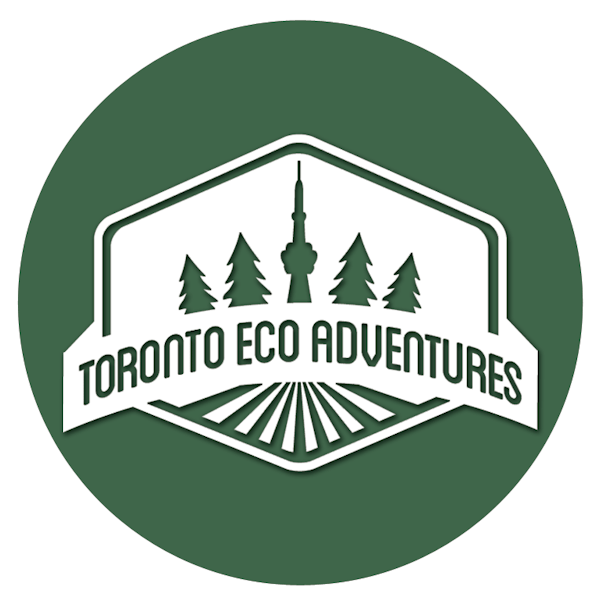 Toronto Eco Adventures logo