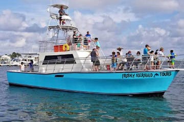 Frisky Mermaid Dolphin Tour Boat