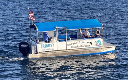 Dolphin Watching Boat Tour with Frisky Mermaid Dolphin Tours