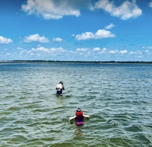 A couple of passengers swimming at snorkel stop in the bay.