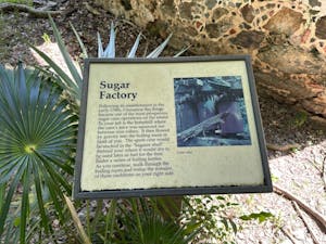 a sign in front of a palm tree