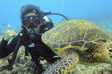 Honolulu scuba diving