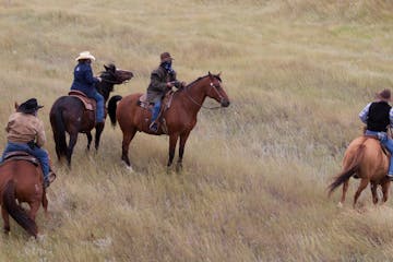a man riding a horse in a field