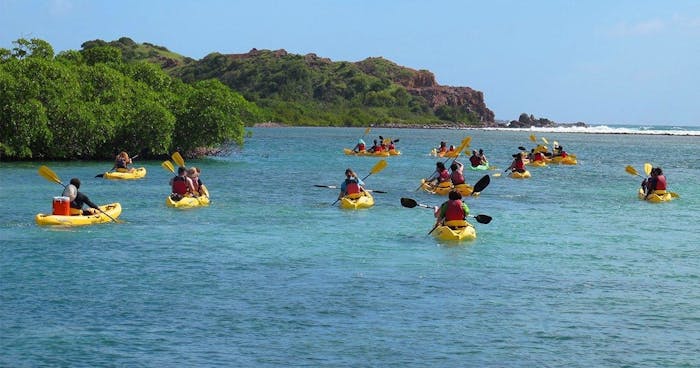 Mangrove Kayak & Snorkel Tour | VI Eco Tours