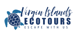 VI Eco Tours