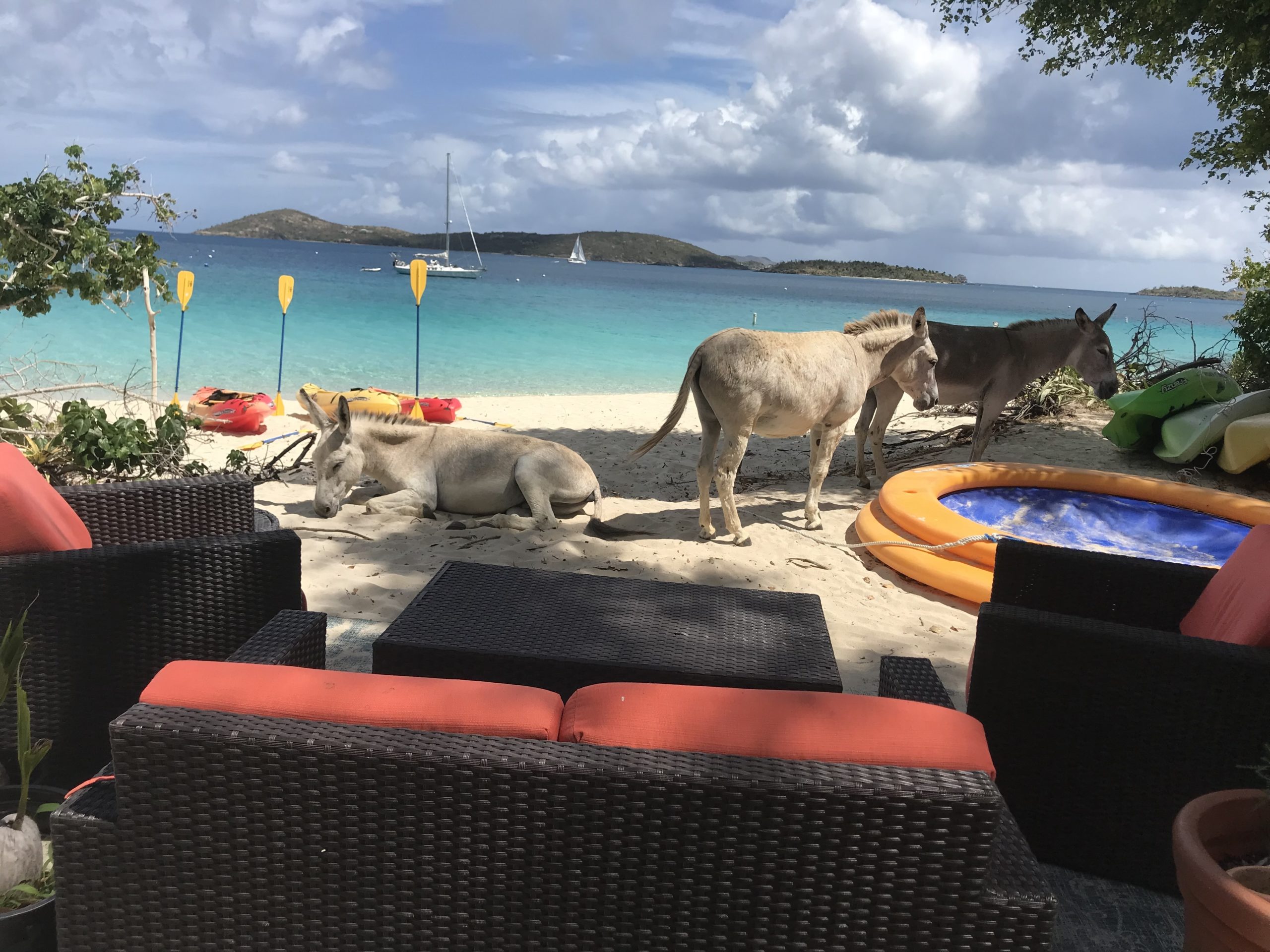 a group of people sitting at a beach