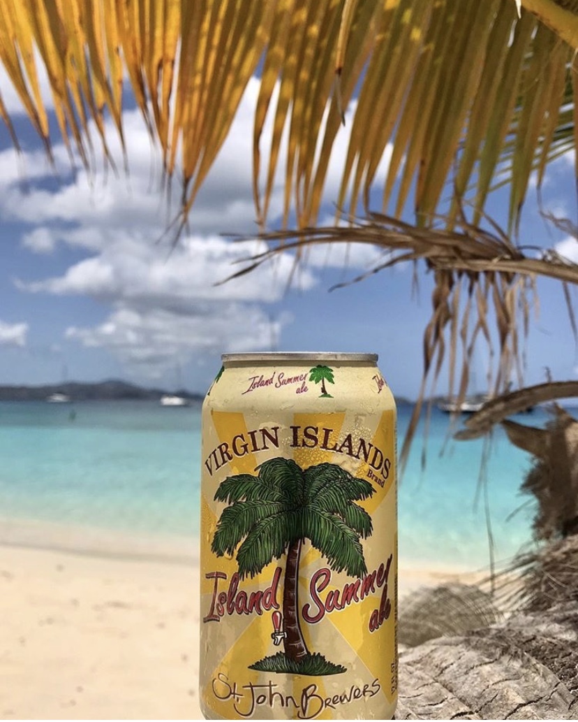 a beach with palm trees in the background