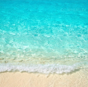 a beach next to the ocean