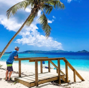 a couple of palm trees on a beach