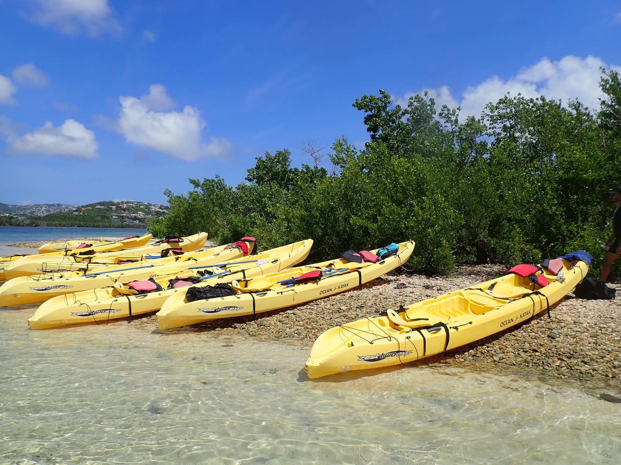 a row of colorful umbrellas sitting next to a body of water