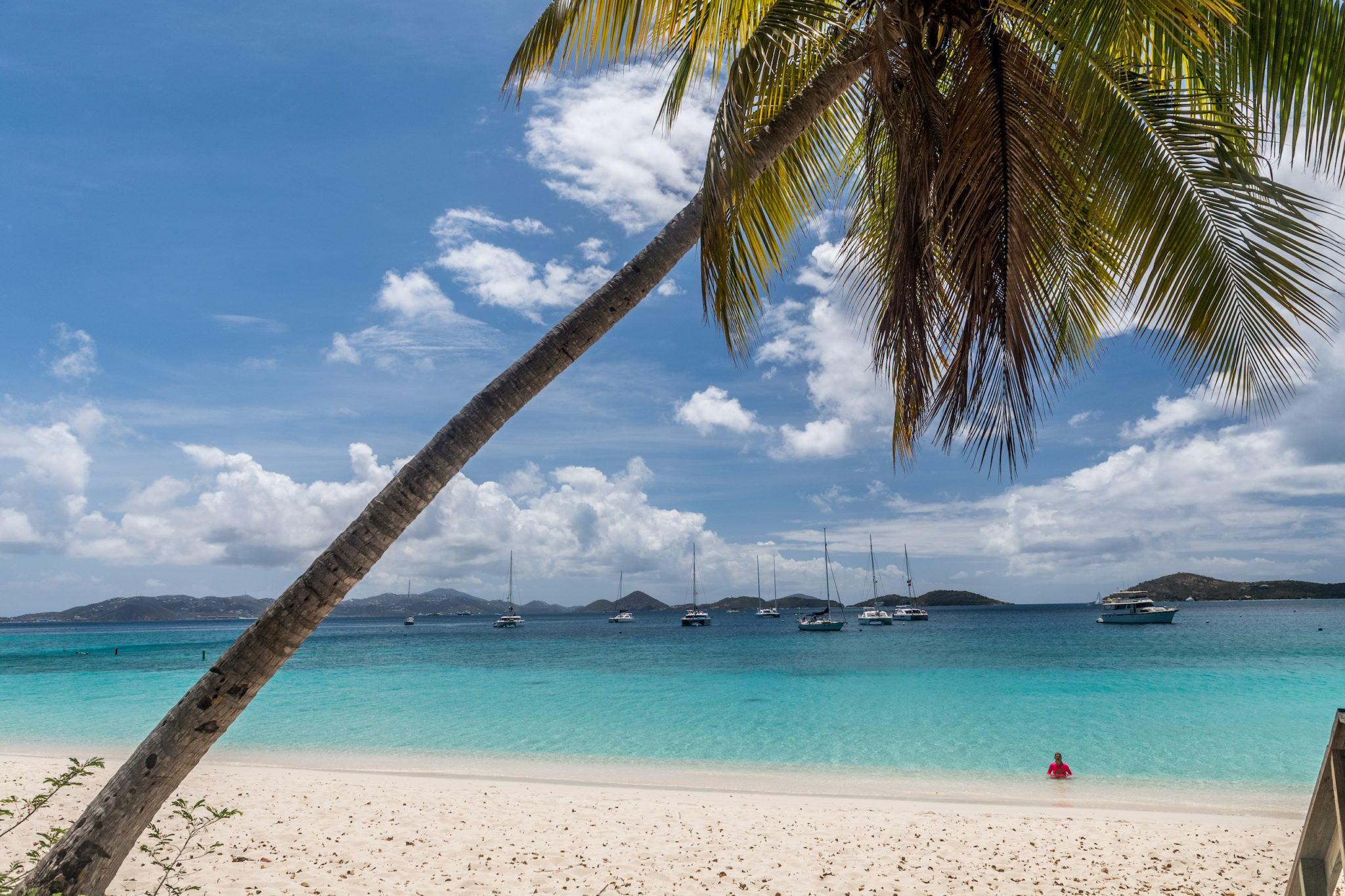 A Special Virgin Islands Vacation Package For 2021 VI Eco Tours