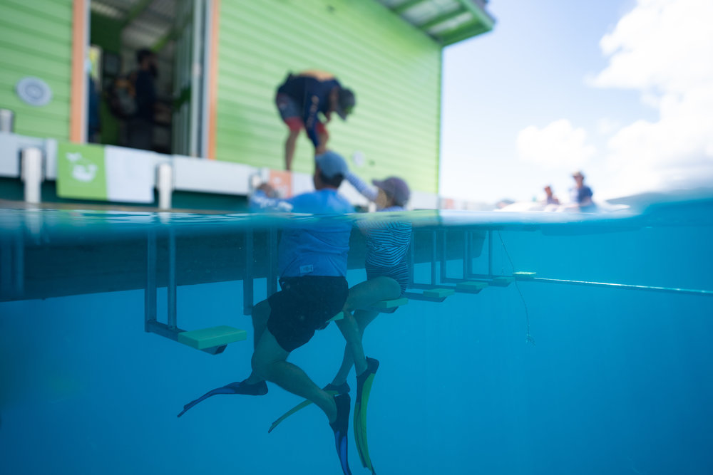 a person in a swimming pool