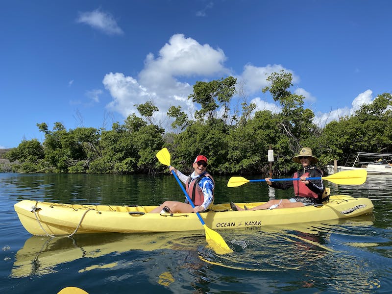 mangrove kayaking st thomas virgin islands