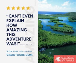guests of the Cas Cay kayak hike snorkel tour Virgin Islands Ecotours