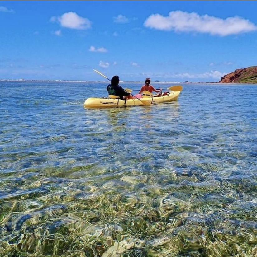 kayak tour mangrove lagoon St Thomas Cas Cay USVI