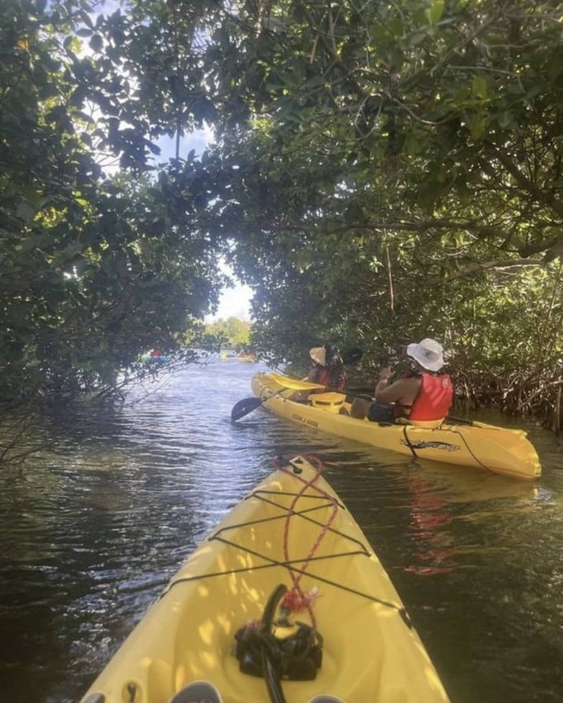 kayak tour mangrove lagoon St Thomas Cas Cay USVI