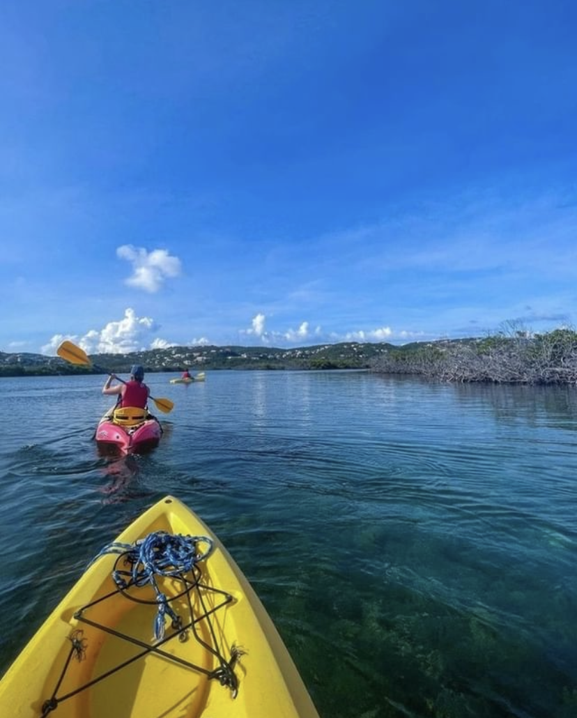 kayak tour mangrove lagoon St Thomas Cas Cay USVI