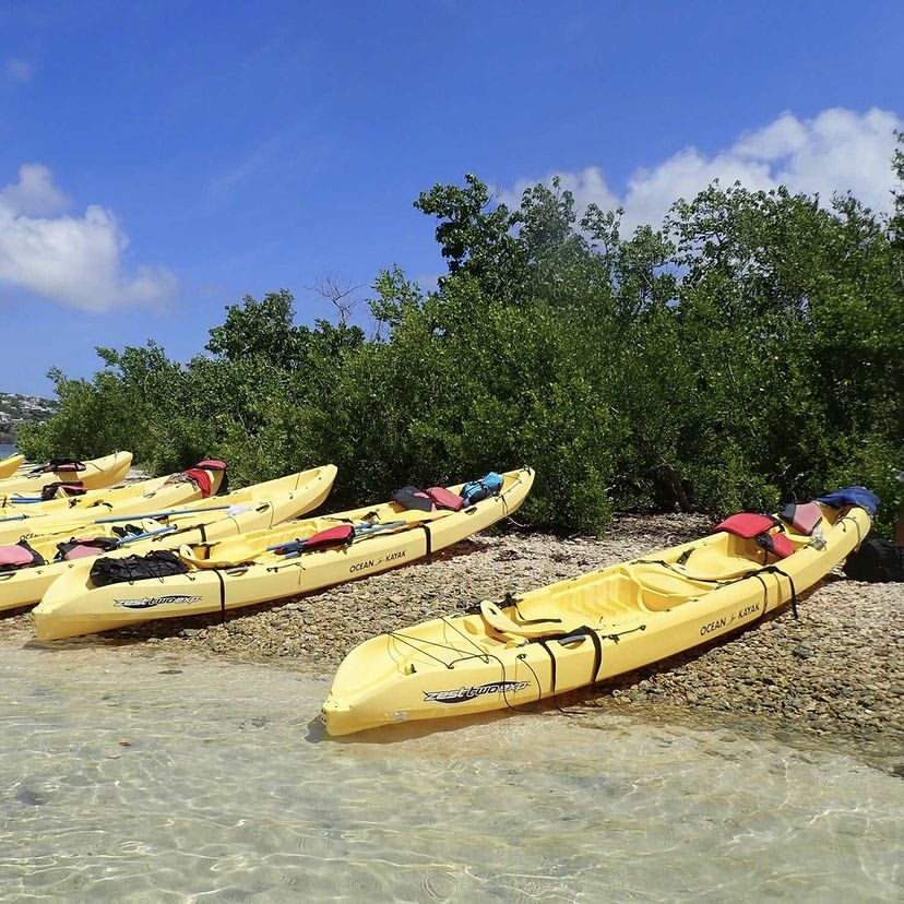 kayak tour Cas Cay St Thomas