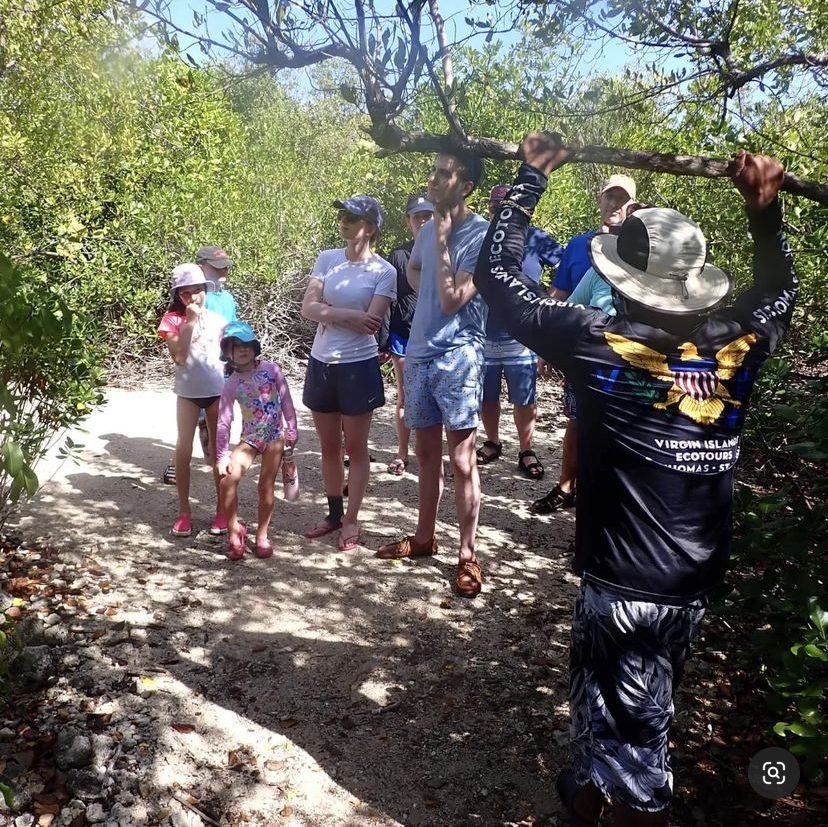 island nature tour St. Thomas Virgin Islands