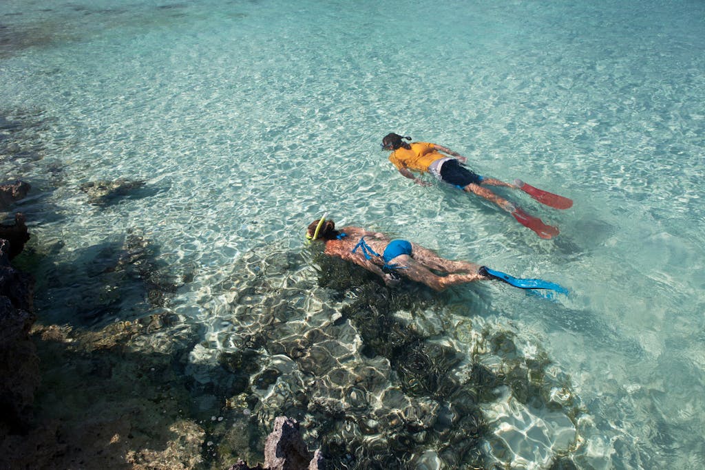 snorkeling in the US Virgin Islands 