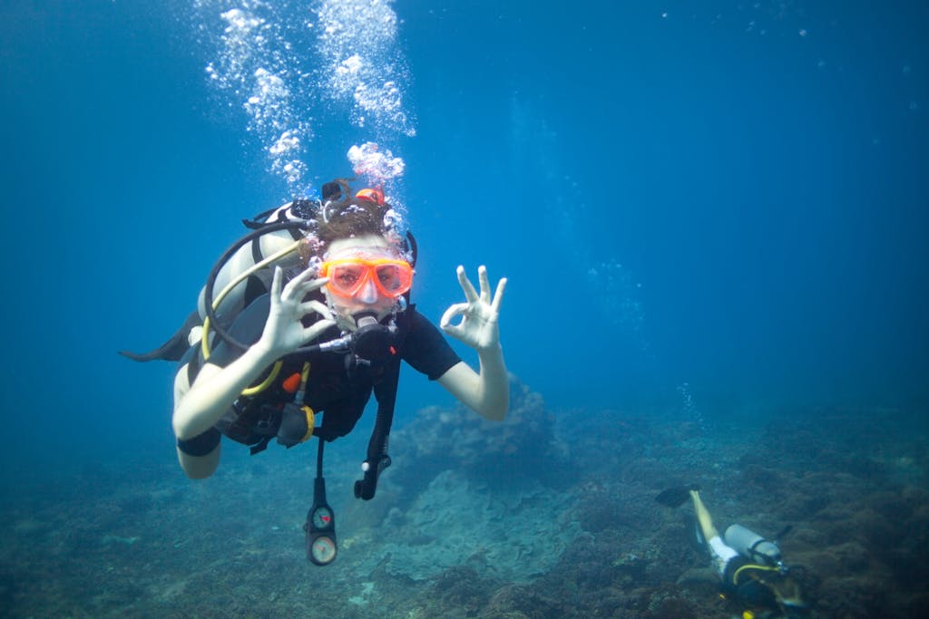 scuba diving St. Thomas US Virgin Islands