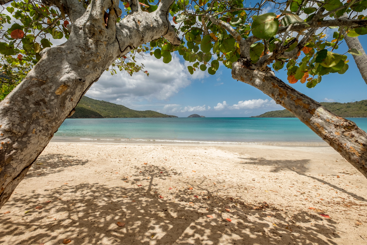 Magens Bay Beach St Thomas USVI