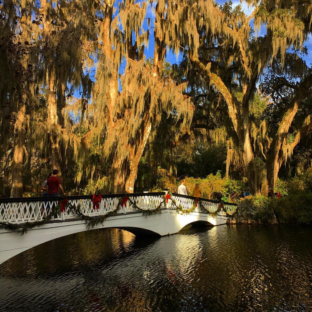 Christmas In Charleston Lowcountry Walking Tours