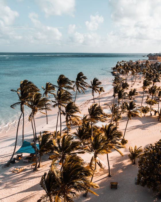 Is It Safe To Travel To Punta Cana? Best Of Punta Cana