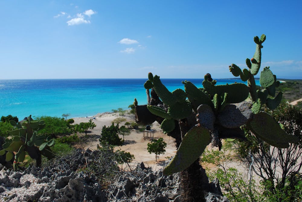 Discover Bahia De Las Aguilas With BOP Travel Service | Best Of Punta Cana