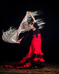 bailaora de flamenco con un mantón