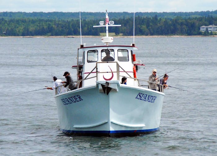 Bar Harbor Fishing Trips Acadian Nature Cruises