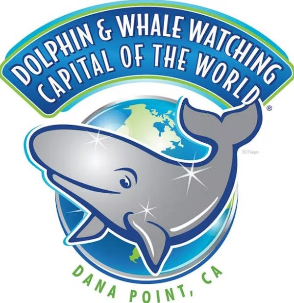 Dana Point Festival of Whales | Events and Information