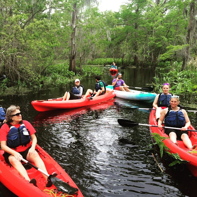 honey island swamp kayak tours