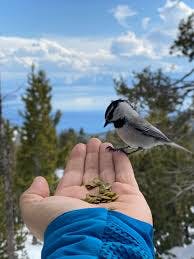 a person holding a bird