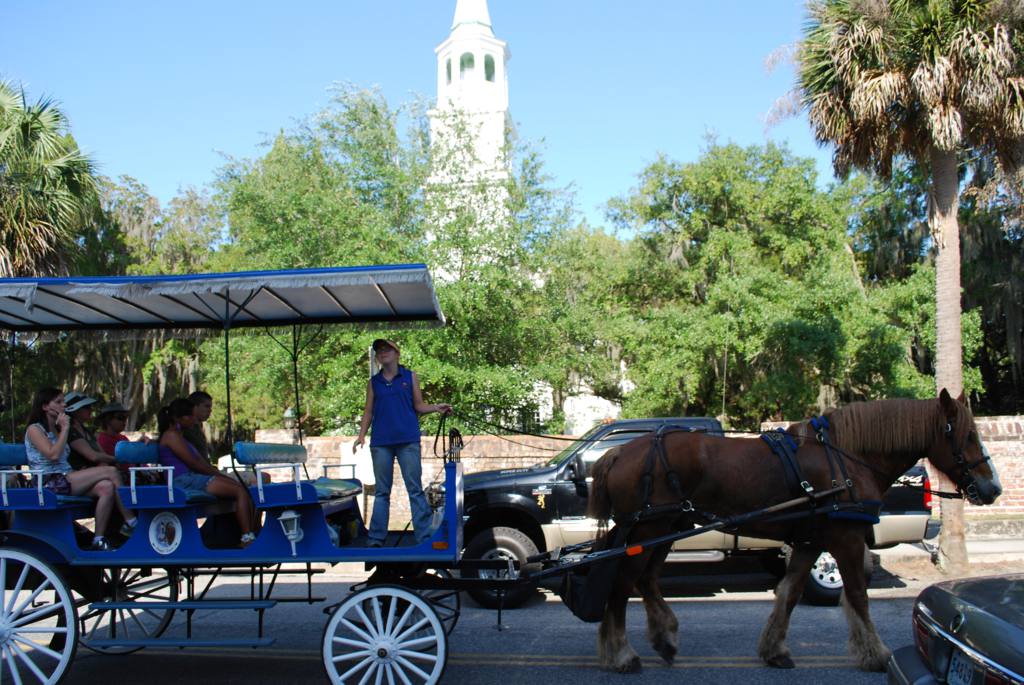 Horse and cheap carriage tours