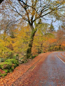 Autumn Dublin Mountain Road