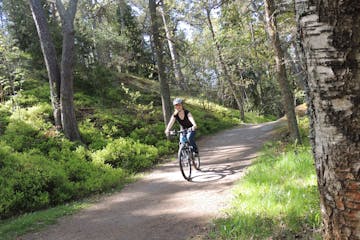 woman riding a bike on trail outside stockholm