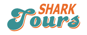 Shark Tours FL