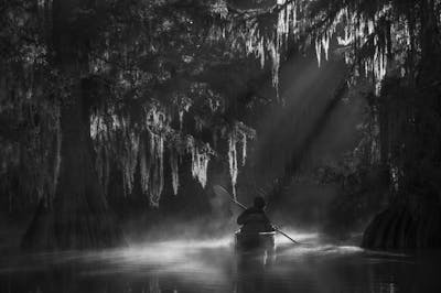 B&W Swamp Photo Set black and White Bayou 