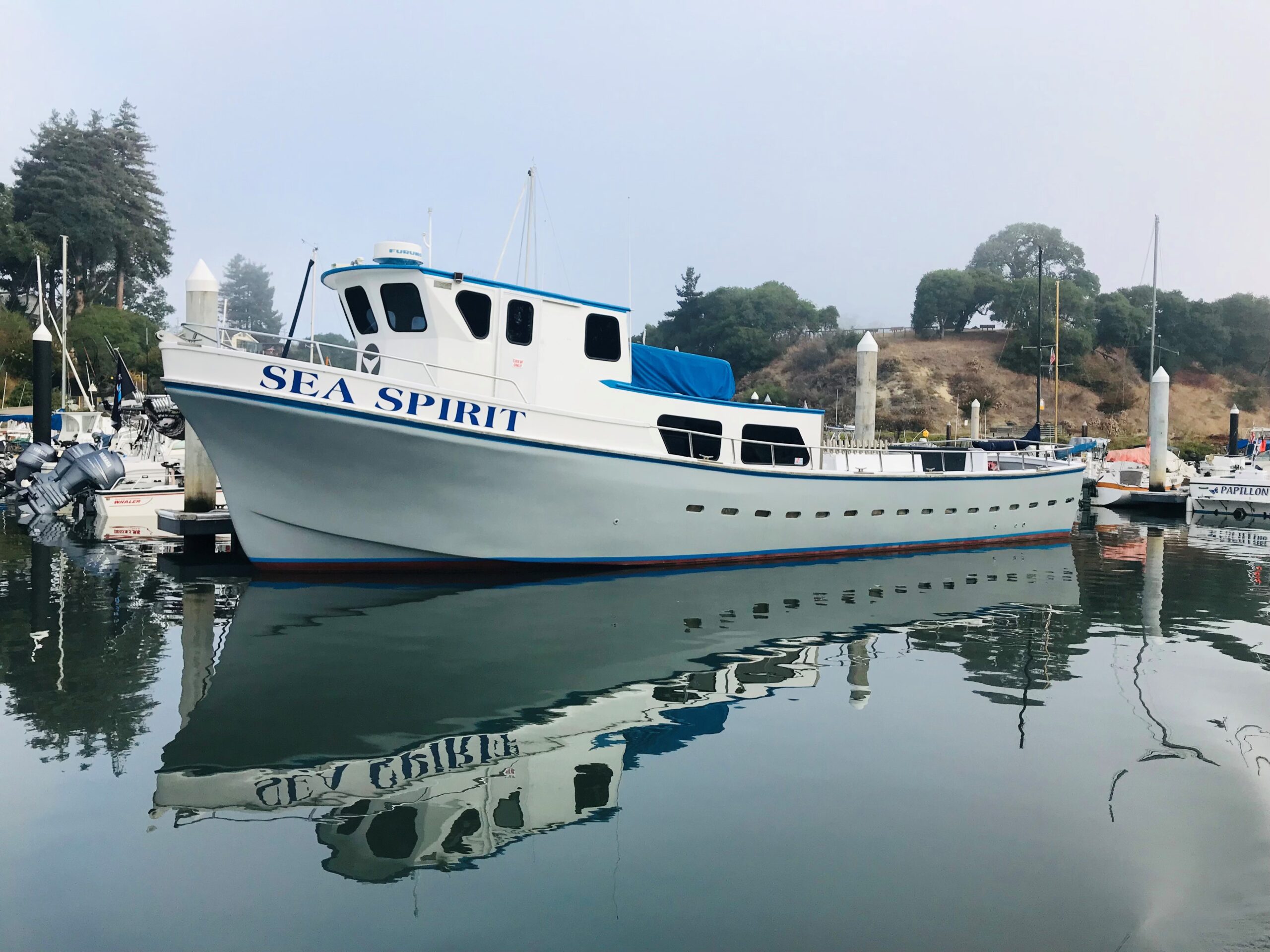 Sea Spirit Memorial Ash Scattering Service Sea Burial California