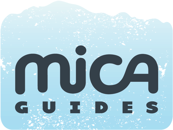 Mica_logo-RGB (1)