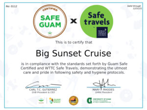 BIG Cruise Safe Travels
