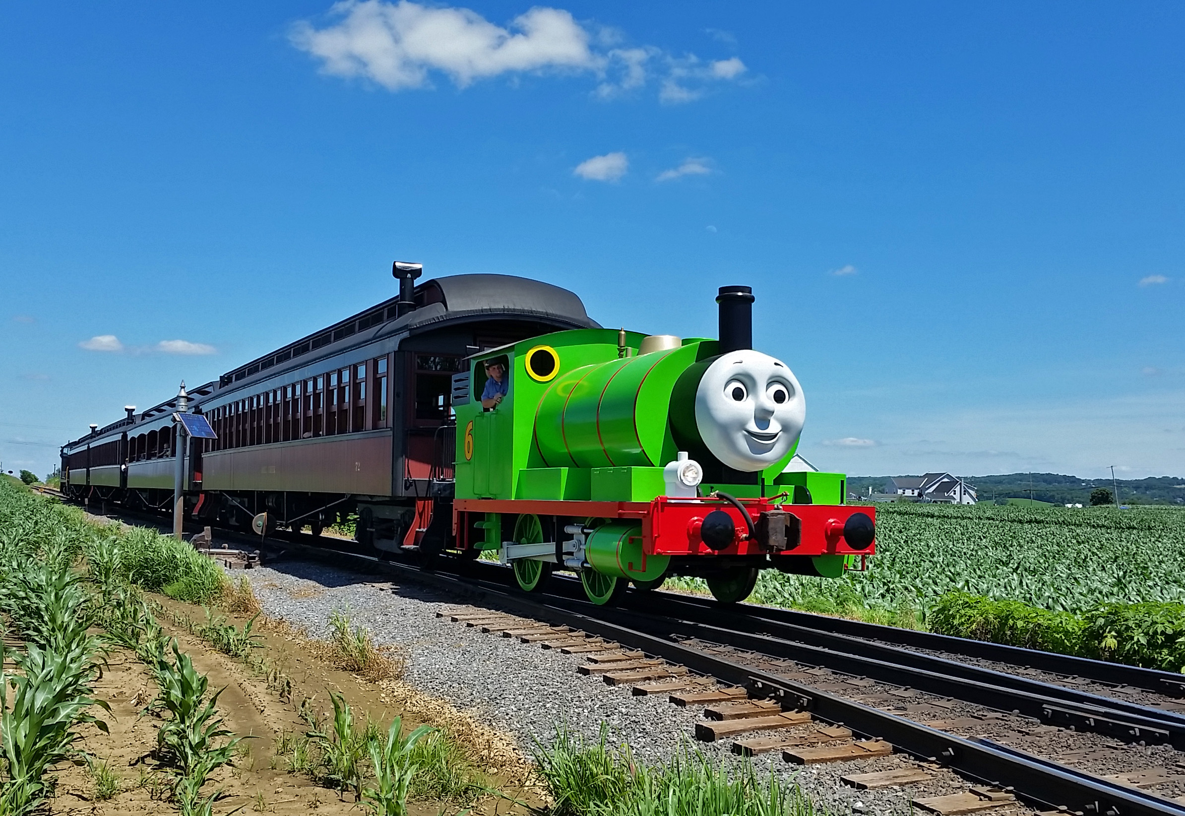 Day out with clearance thomas and percy