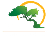 Fofoti Tours & Transfers